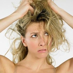 Meet your Posher, Julio